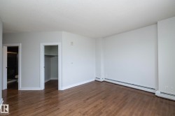 Expansive room featuring rich wood-finish flooring, crisp white walls, and bright white trim - 