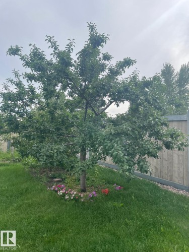4811 152 Avenue, Edmonton, AB - Outdoor