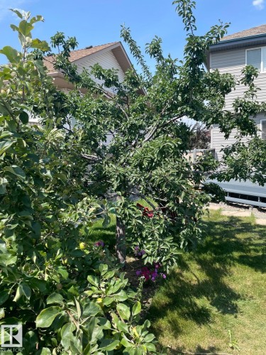 4811 152 Avenue, Edmonton, AB - Outdoor