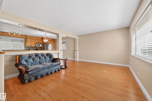 13916 61 Street Nw, Edmonton, AB - Indoor Photo Showing Living Room