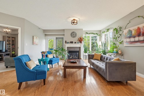 201 9811 96A Street, Edmonton, AB - Indoor Photo Showing Living Room With Fireplace