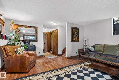 3332 44B Avenue, Edmonton, AB - Indoor Photo Showing Living Room