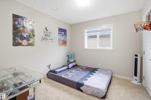 Bright room featuring light-toned walls and plush carpet flooring - 1444 37C Avenue, Edmonton, AB - Indoor Photo Showing Bedroom