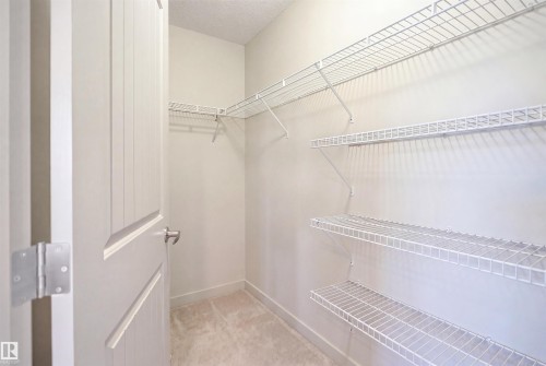 Walk-in closet featuring light beige wall paint, white wire shelving, a hanging rod, plush carpet flooring, and a modern interior door with brushed nickel hardware - 1144 35 Avenue, Edmonton, AB - Indoor With Storage
