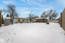 Expansive snow-covered backyard featuring a detached accessory structure with stone-look siding and vibrant blue doors, a screened-in deck with dark wood-finish railing, a picket fence perimeter, and mature trees - 2 Scarboro Place, St. Albert, AB  - Outdoor 