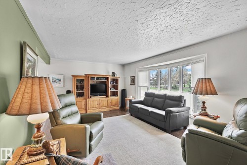 4704 109 Avenue, Edmonton, AB - Indoor Photo Showing Living Room