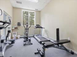 Dedicated fitness space featuring neutral wall tones, grey carpeting, and a large multi-pane window - 