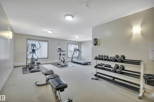 101 4407 23 Street, Edmonton, AB - Indoor Photo Showing Gym Room