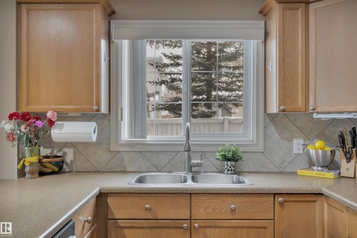 101 4407 23 Street, Edmonton, AB - Indoor Photo Showing Kitchen With Double Sink