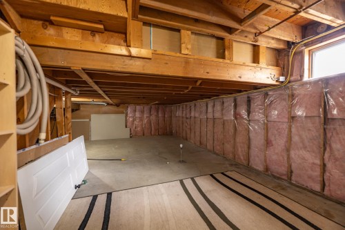 8111 187 Street, Edmonton, AB - Indoor Photo Showing Basement