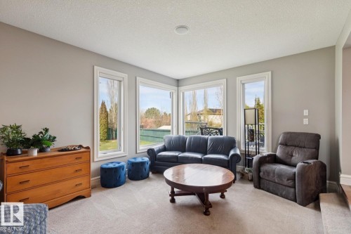 12067 21 Avenue, Edmonton, AB - Indoor Photo Showing Living Room