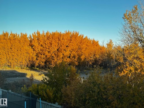 Expansive views of a rich, golden tree line under a clear sky - 26 Edgewater Terr N, St. Albert, AB - Outdoor With View