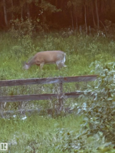 The property offers a natural setting with a wooden fence and abundant green foliage - 26 Edgewater Terr N, St. Albert, AB - Outdoor