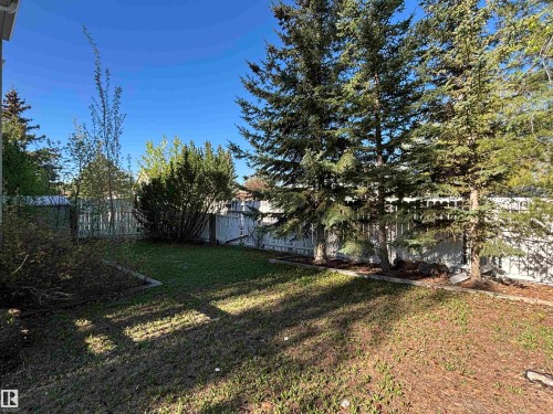 Expansive backyard featuring a manicured lawn, established trees, and perimeter fencing - 3516 49 Avenue, Drayton Valley, AB - Outdoor