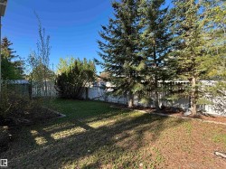 Expansive backyard featuring a manicured lawn, established trees, and perimeter fencing - 