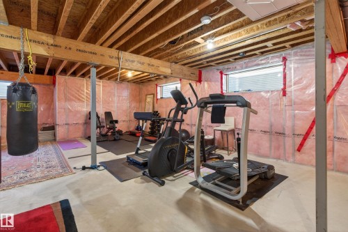 3908 Agar Crest, Edmonton, AB - Indoor Photo Showing Basement