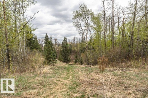 1390 Enright Landing Landing, Edmonton, AB - Outdoor With View
