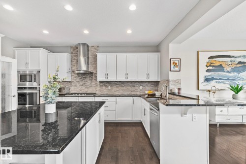 22131 95 Avenue, Edmonton, AB - Indoor Photo Showing Kitchen With Upgraded Kitchen
