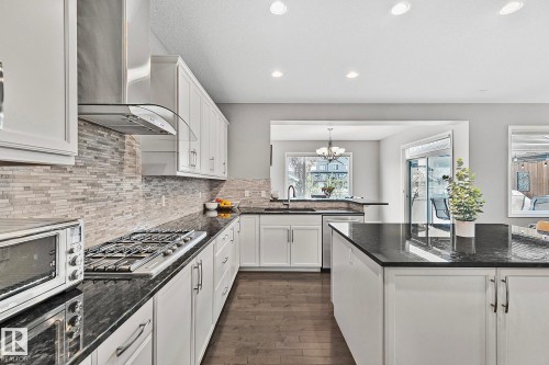 22131 95 Avenue, Edmonton, AB - Indoor Photo Showing Kitchen With Upgraded Kitchen
