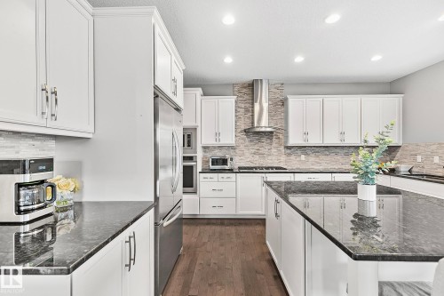 22131 95 Avenue, Edmonton, AB - Indoor Photo Showing Kitchen With Upgraded Kitchen