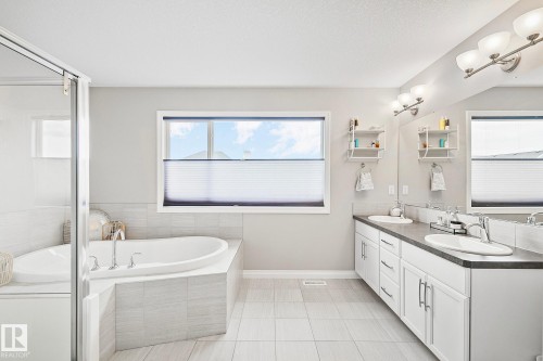 22131 95 Avenue, Edmonton, AB - Indoor Photo Showing Bathroom