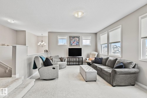 22131 95 Avenue, Edmonton, AB - Indoor Photo Showing Living Room
