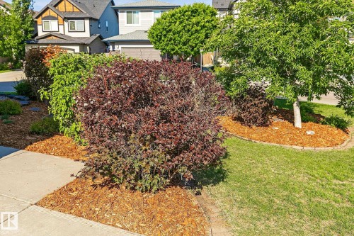 22131 95 Avenue, Edmonton, AB 