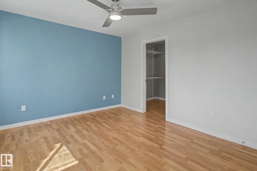 Room featuring wood-finish flooring, a contemporary ceiling fan with integrated lighting, a contrasting accent wall, and a walk-in closet with built-in shelving - 204 278 Suder Greens Drive, Edmonton, AB - Indoor Photo Showing Other Room