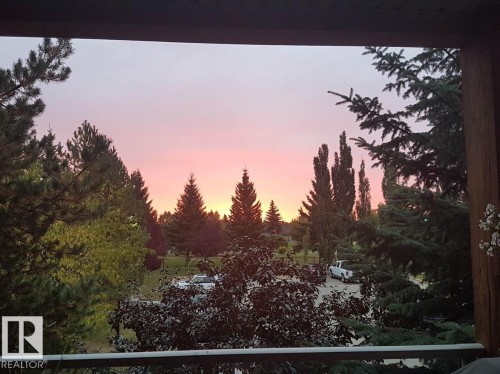 Expansive tree line surrounding the property - 204 278 Suder Greens Drive, Edmonton, AB - Outdoor With View