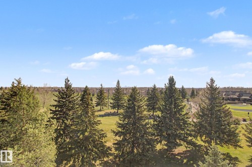 Expansive green space with mature evergreen trees and distant residential structures - 204 278 Suder Greens Drive, Edmonton, AB - Outdoor With View