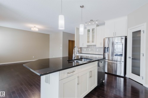 1007 173 Street, Edmonton, AB - Indoor Photo Showing Kitchen With Double Sink With Upgraded Kitchen