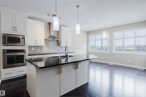 1007 173 Street, Edmonton, AB - Indoor Photo Showing Kitchen With Upgraded Kitchen