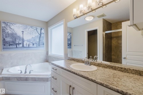 1007 173 Street, Edmonton, AB - Indoor Photo Showing Bathroom