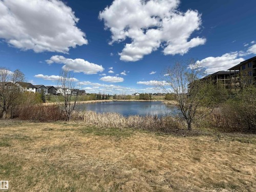Expansive waterfront property featuring a large pond bordered by natural vegetation - 1007 173 Street, Edmonton, AB - Outdoor With View