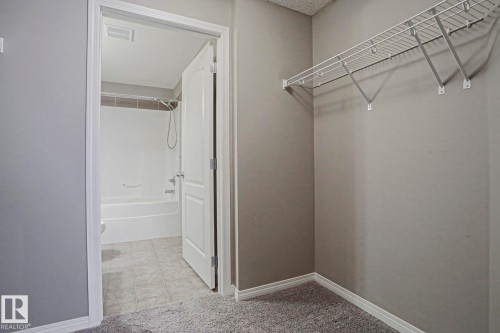 Walk-in closet featuring wire shelving, gray walls, and carpet flooring - 201 1520 Hammond Gate Gate, Edmonton, AB 