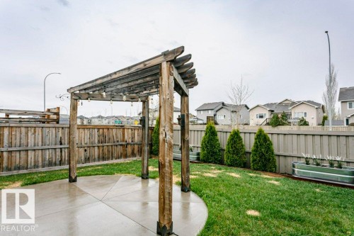 Backyard featuring a wooden pergola over a concrete patio with string lighting, bordered by a manicured lawn and mature evergreen shrubs - 42 Santana Crescent, Fort Saskatchewan, AB - Outdoor
