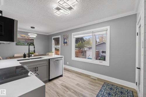 9344 63 Avenue, Edmonton, AB - Indoor Photo Showing Kitchen With Double Sink