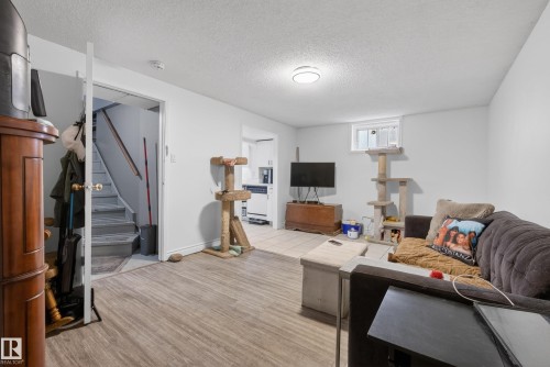9344 63 Avenue, Edmonton, AB - Indoor Photo Showing Living Room