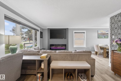 9344 63 Avenue, Edmonton, AB - Indoor Photo Showing Living Room With Fireplace
