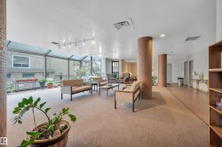 Sunlit communal space featuring a full glass wall, track lighting, two rounded columns, and a built-in shelving unit - 