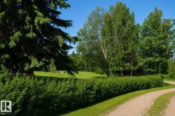 Expansive green lawn framed by mature evergreen and deciduous trees - 