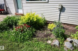 Cultivated garden bed featuring various perennial plantings, including a vibrant yellow shrub, red flowering plants, and purple spikes - 