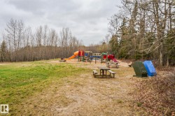 Outdoor playground area featuring multiple slides, swings, and climbing structures - 