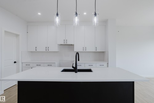 6219 29 Avenue, Edmonton, AB - Indoor Photo Showing Kitchen With Upgraded Kitchen