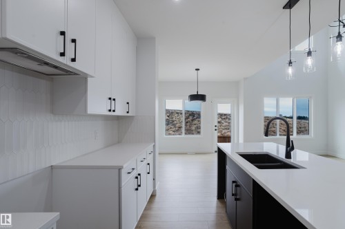 6219 29 Avenue, Edmonton, AB - Indoor Photo Showing Kitchen With Double Sink