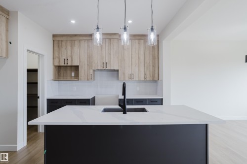 6223 29 Avenue, Edmonton, AB - Indoor Photo Showing Kitchen With Upgraded Kitchen