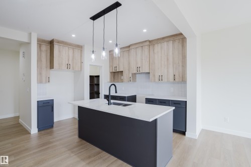 6223 29 Avenue, Edmonton, AB - Indoor Photo Showing Kitchen With Double Sink With Upgraded Kitchen