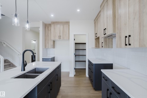 6223 29 Avenue, Edmonton, AB - Indoor Photo Showing Kitchen With Double Sink