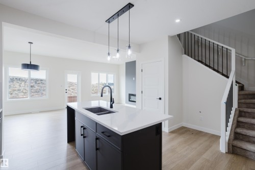 6223 29 Avenue, Edmonton, AB - Indoor Photo Showing Kitchen With Double Sink