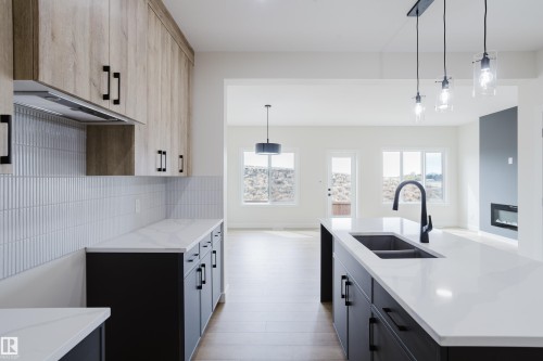 6223 29 Avenue, Edmonton, AB - Indoor Photo Showing Kitchen With Double Sink With Upgraded Kitchen